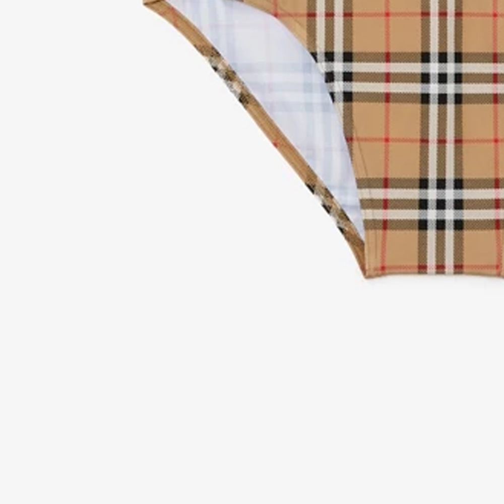 Shop Burberry SS23  Classic Check Drawstring Swim Briefs Brown 80735691