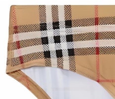 Purchase 巴宝莉 SS23 经典格纹抽绳泳裤 棕色 80735691