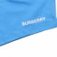 Purchase Burberry SS23 Logo Swim Shorts Vibrant Blue. 80655551