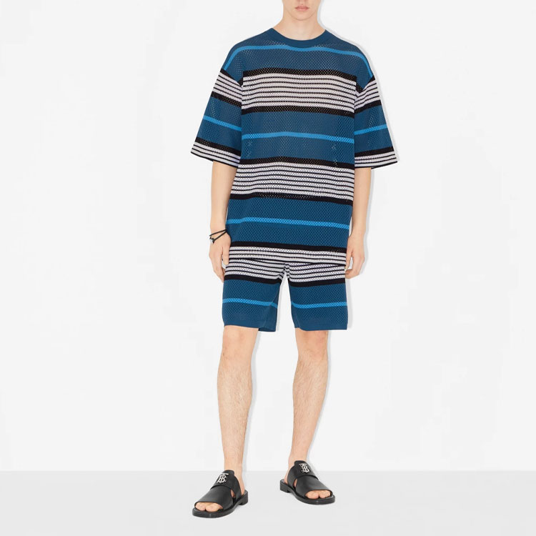 Burberry SS23  Striped Print Crewneck Short Sleeve T-Shirt Blue 80678841 圖 4