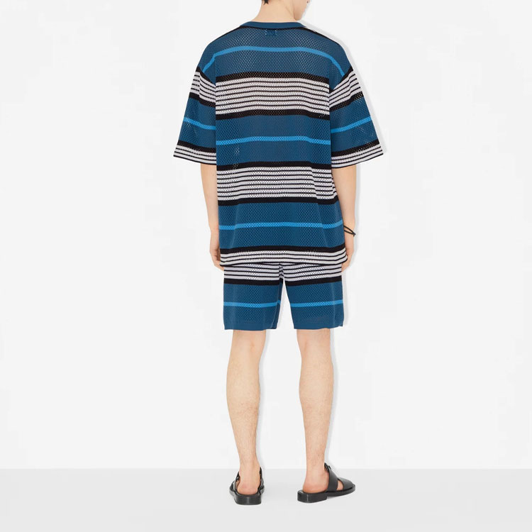 Burberry SS23  Striped Print Crewneck Short Sleeve T-Shirt Blue 80678841 圖 5