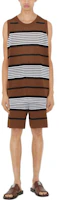 Purchase Burberry SS23 Striped Printed Mid-Rise Casual Shorts Dark Birch Brown 80678871