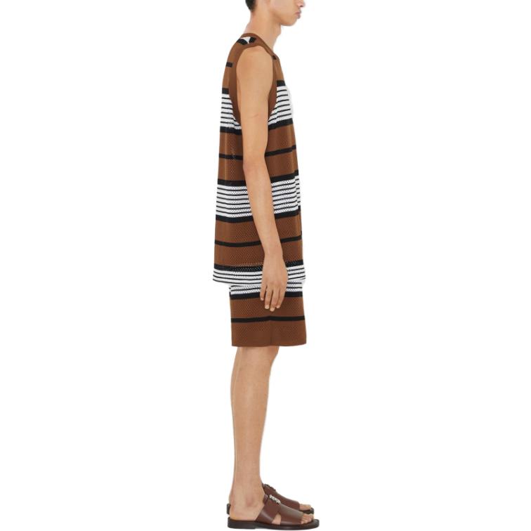 Details for Burberry SS23  Striped Printed Mid-Rise Casual Shorts Dark Birch Brown 80678871