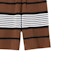 Sizing Burberry SS23 Striped Printed Mid-Rise Casual Shorts Dark Birch Brown 80678871