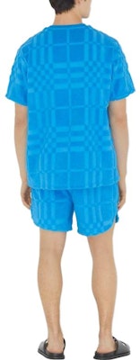 Burberry SS23 Check Print Crewneck Short Sleeve T-Shirt Blue Men. 80714481 Purchase Burberry SS23 Check Print Crewneck Short Sleeve T-Shirt Blue Men. 80714481