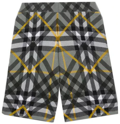 burberry-ss-23-checkered-straight-cut-casual-shorts-mens-grey-80651771