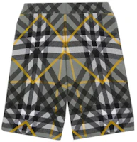 Burberry SS23 Checkered Straight-Cut Casual Shorts Mens Grey 80651771 Burberry SS23 Checkered Straight-Cut Casual Shorts Mens Grey 80651771