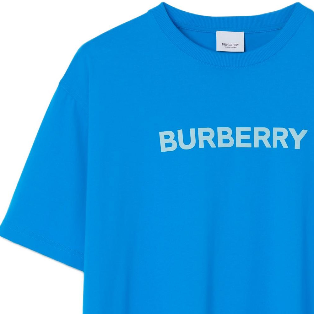 Details for バーバリー SS23 ロゴプリント ルーズフィット Tシャツ メンズ ビブラントブルー. 80653951