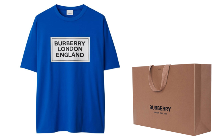 Shop Burberry SS24 Logo Print Crewneck T-Shirt  Canvas Blue 80843391