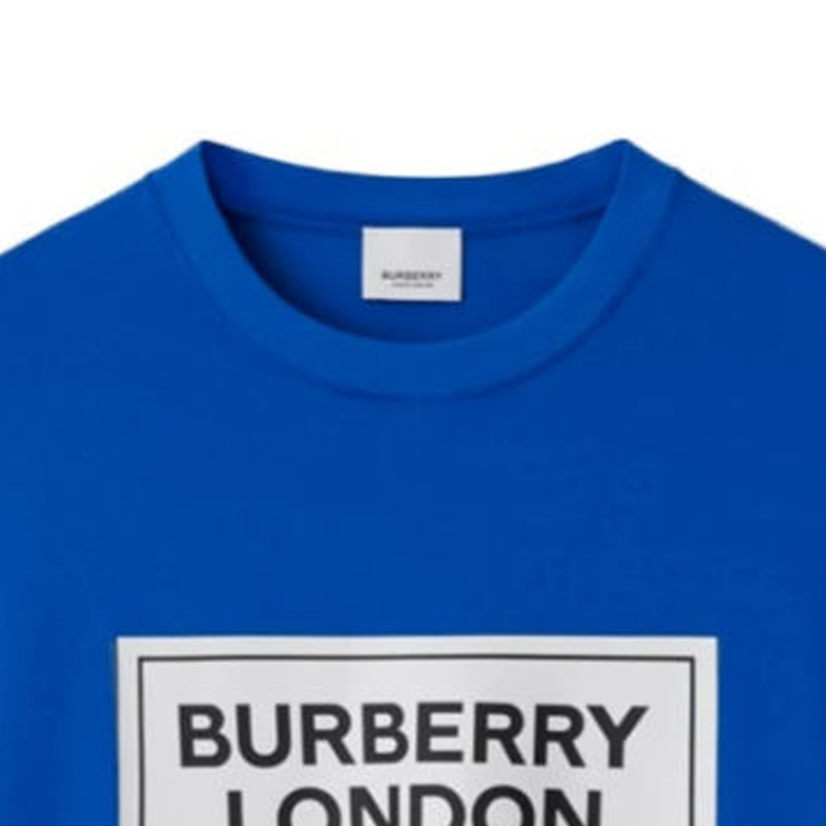 Cheap Burberry SS24 Logo Print Crewneck T-Shirt  Canvas Blue 80843391