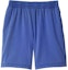 Order Burberry SS24 Solid Logo Embroidered Mid-Rise Straight Casual Shorts Blue Men 80909191