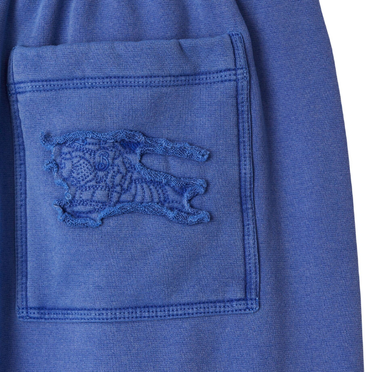 Details for Burberry SS24 Solid Logo Embroidered Mid-Rise Straight Casual Shorts Blue Men 80909191