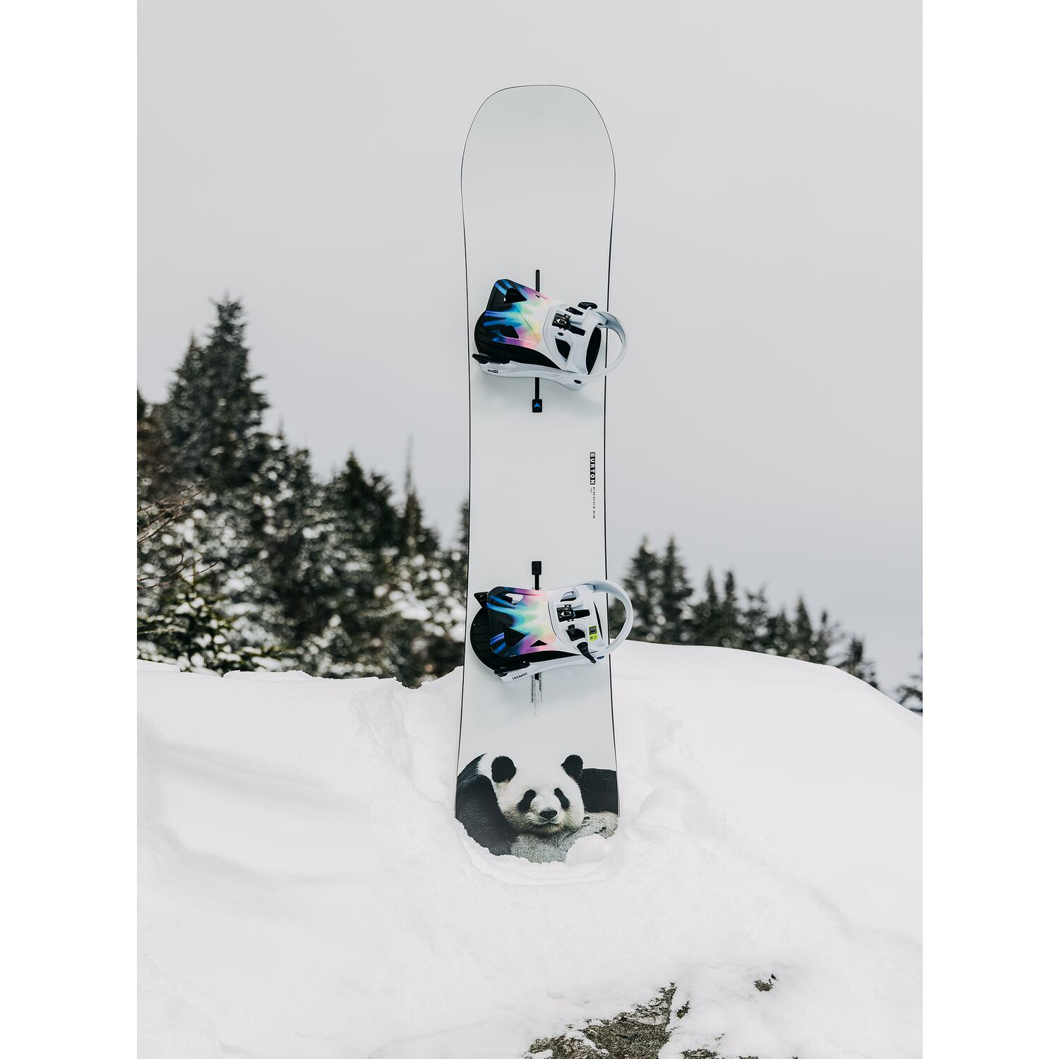 Shop BURTON 22/23 Process  Advanced Durable Snowboard. 10692109000