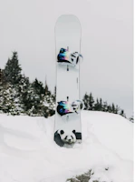 Shop BURTON 22/23 Process Advanced Durable Snowboard. 10692109000