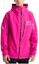 Buy BURTON AK Cyclic GORE-TEX 2L Jaket Snowboard Waterproof & Windproof. 100021