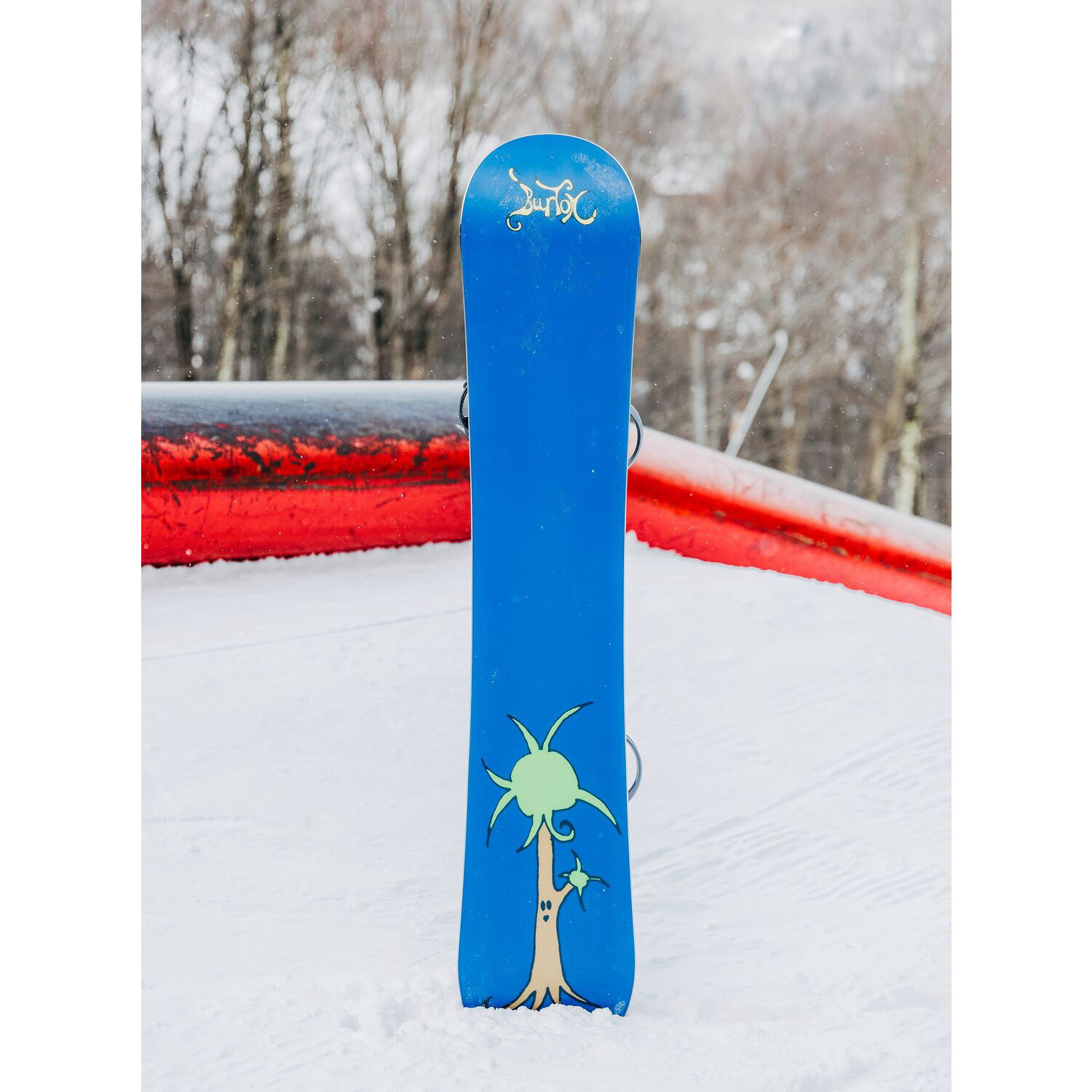Shop BURTON Blossom Camber 22/23  Snowboard 22943101000
