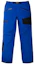 Shop BURTON Carbonate Gore-Tex 2L 防水透氣防風滑雪褲 234321
