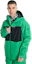 Shop BURTON Pillowline GORE-TEX 2L 綠色防水透氣滑雪外套 22813101300