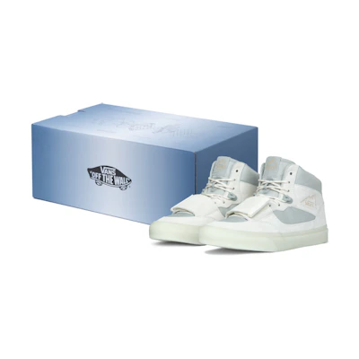 Vans C2H4 Mountain Edition SP-box 'Grey'