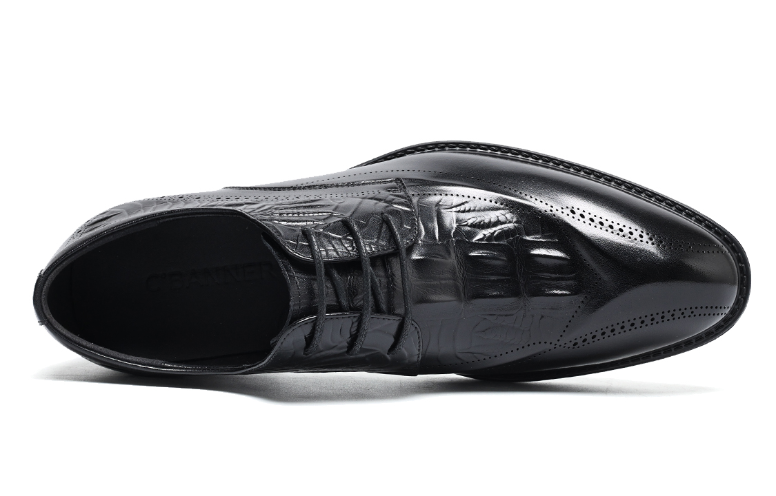Shop C°BANNER Brogue 'Negro' C0723173D01