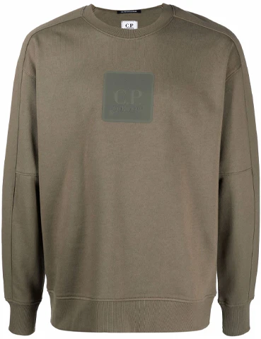 c-p-company-fw-21-logo-print-crewneck-sweatshirt-gray-brown-11-cmss-063-a005086-w