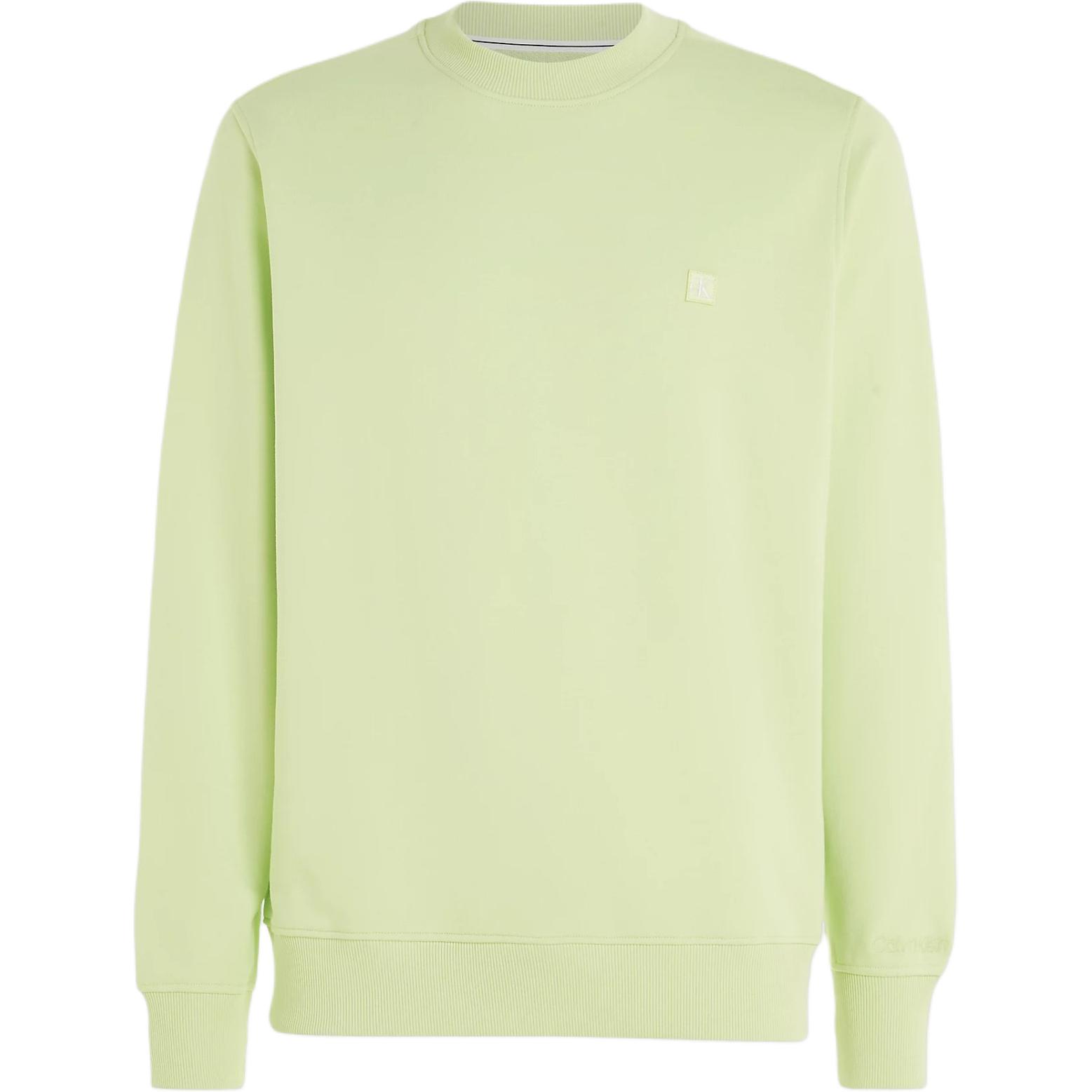 Calvin Klein Jeans Mint Green Logo Crewneck Long Sleeve Sweatshirt J30J325270-LT6