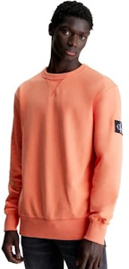 カルバン・クライン 無地 オーバーサイズ カジュアル スウェットシャツ ユニセックス J30J323426-LLP 4