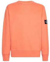 カルバン・クライン 無地 オーバーサイズ カジュアル スウェットシャツ ユニセックス J30J323426-LLP 2