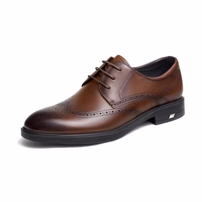 CAMEL CROWN Casual Slip-Resistant Dress Shoe 'Men's'