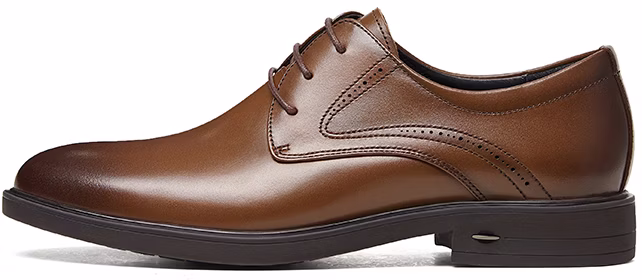 camel-crown-derby-business-british-g13-a005089