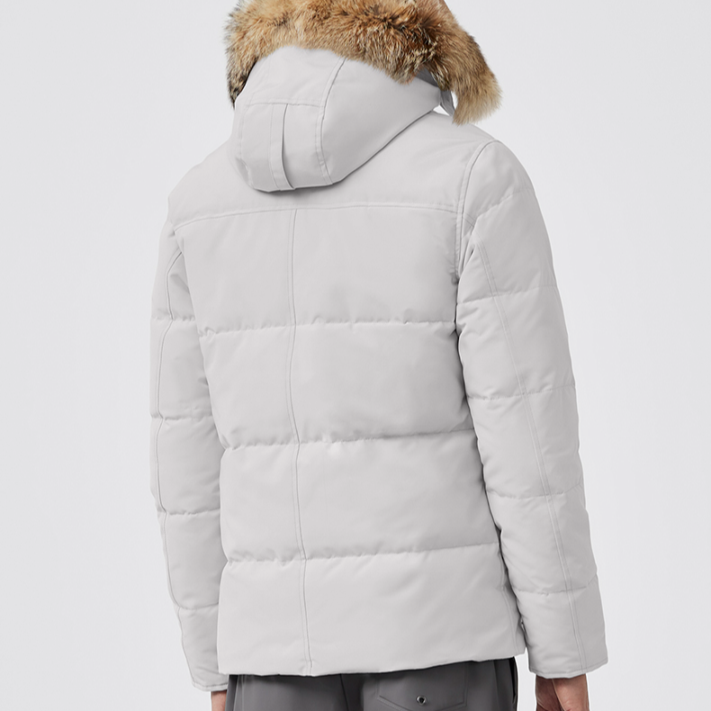 Shop 加拿大鵝 Wyndham 短版羽絨外套 銀白色 修身連帽羽絨夾克 3808M-200