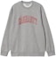 Order Carhartt WIP FW22 Graffiti Print Sweatshirt Men’s Grey I030939-19X-XX