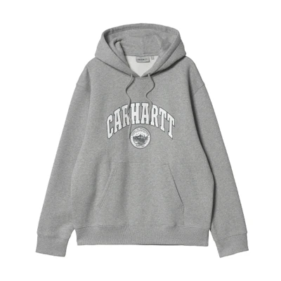 Carhartt WIP Hooded Berkeley Sweat Graphic Hoodie Grey I029511-V6-XX