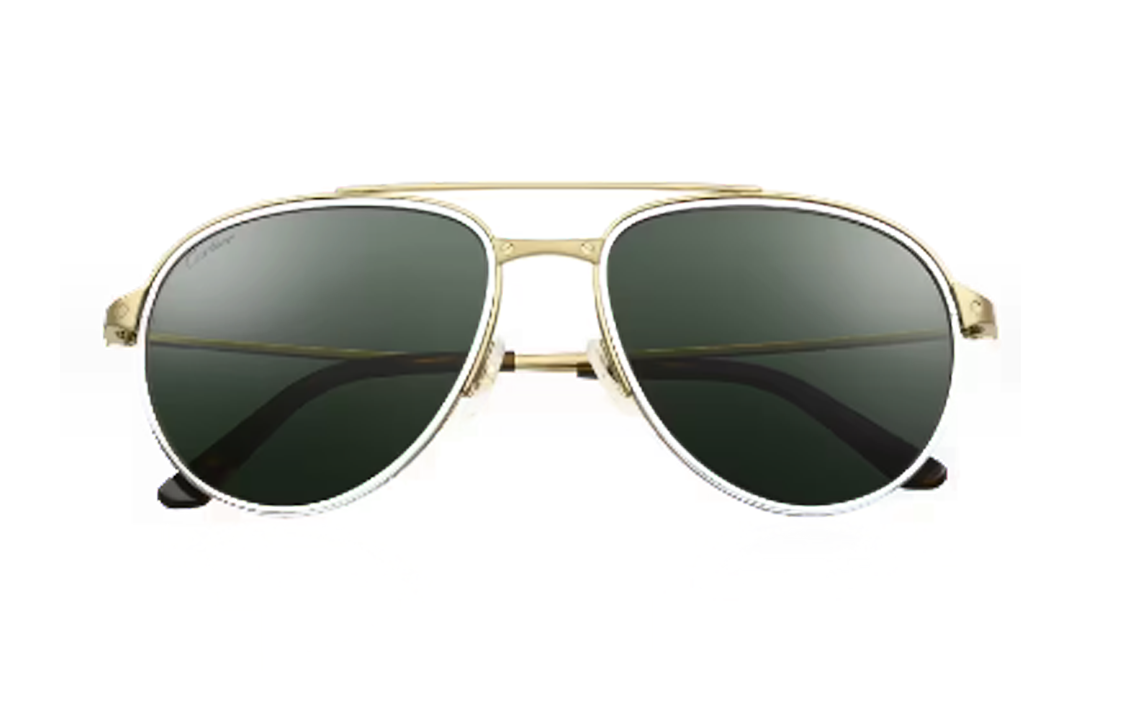 Lookbook 卡地亞金色飛行員太陽眼鏡男女款防風輕量框架 ESW00573