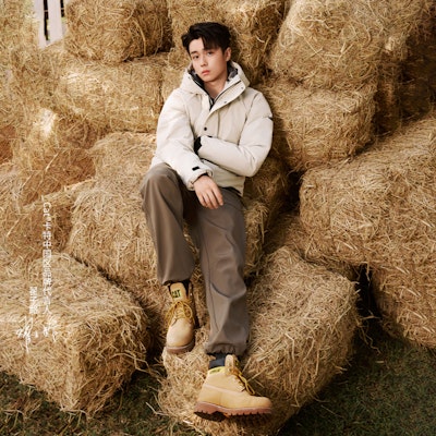 Chaqueta CAT con Capucha Cortavientos Acolchada para Exterior Térmica. CN3DWU49071 2