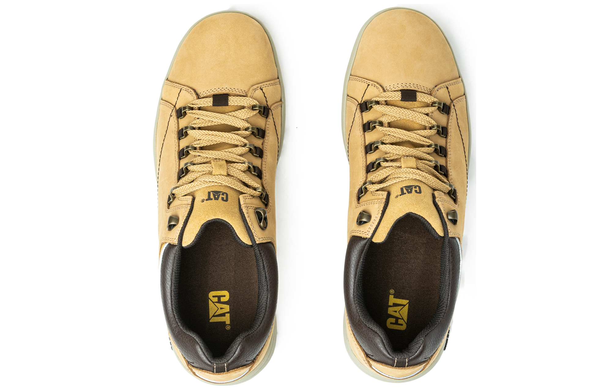 CAT APA Low 'Yellow' 圖 2