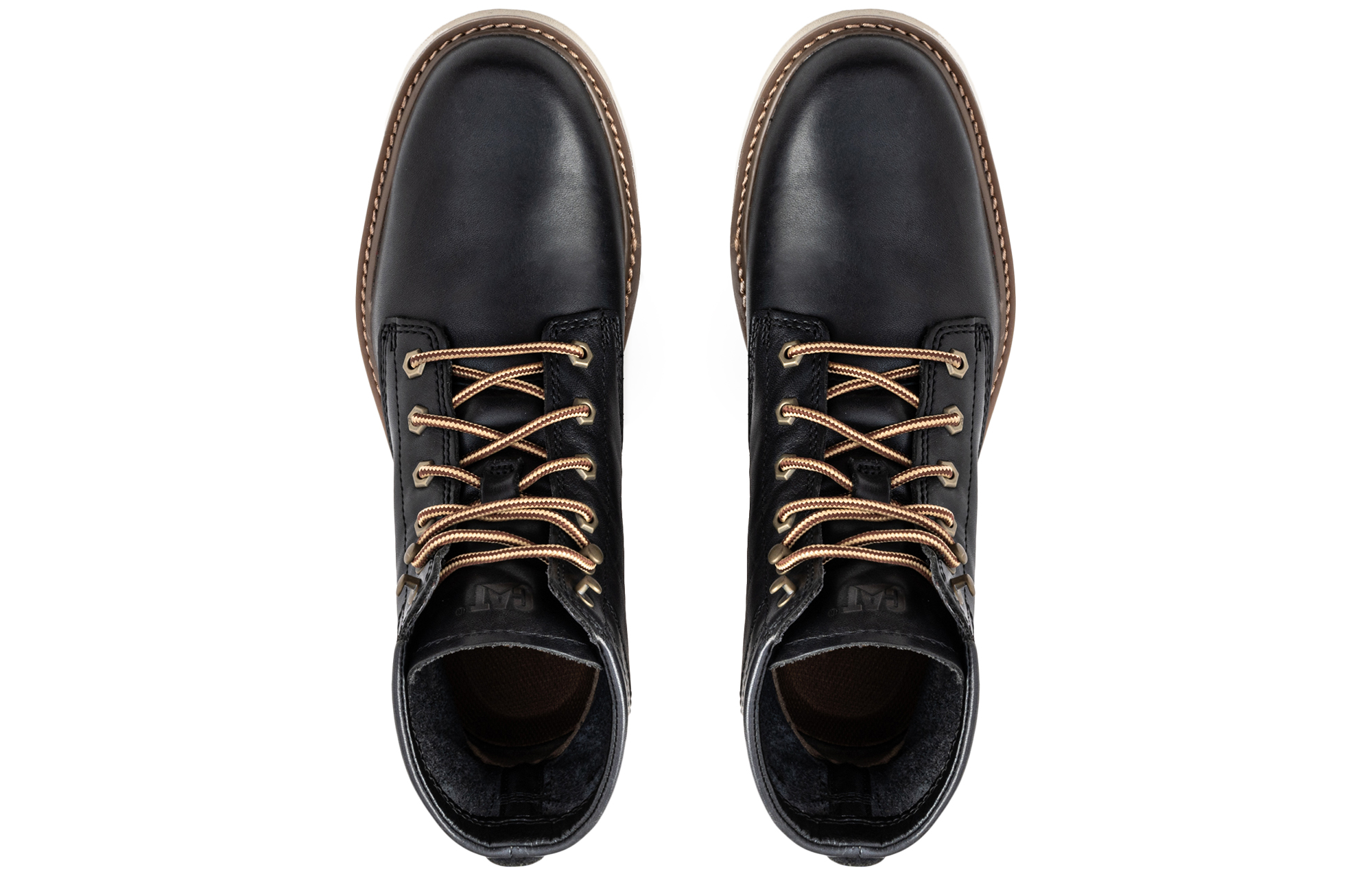 CAT Chronicle 'Black and Blue' 圖 3