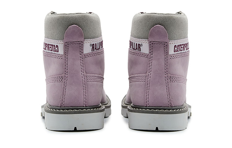 CAT Colorado 'Light Purple Pink' 圖 4