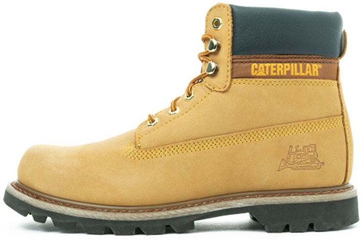 cat-colorado-yellow-p725756-l3-edc-25