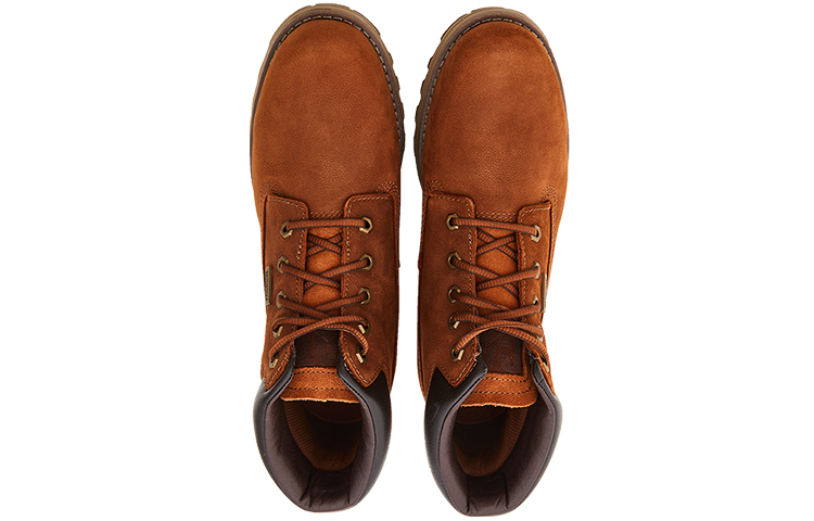 Shop CAT 创始人WP TX '棕色' P724665L1KDC36