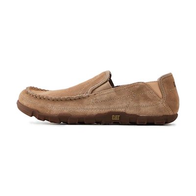 CAT Kiefer Low 'Apricot Yellow'