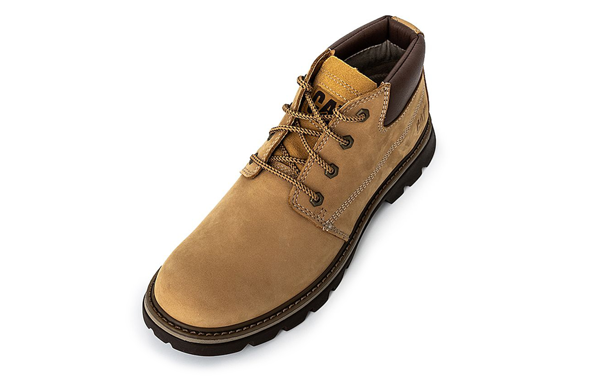 CAT Tribute 'Yellow' 圖 3