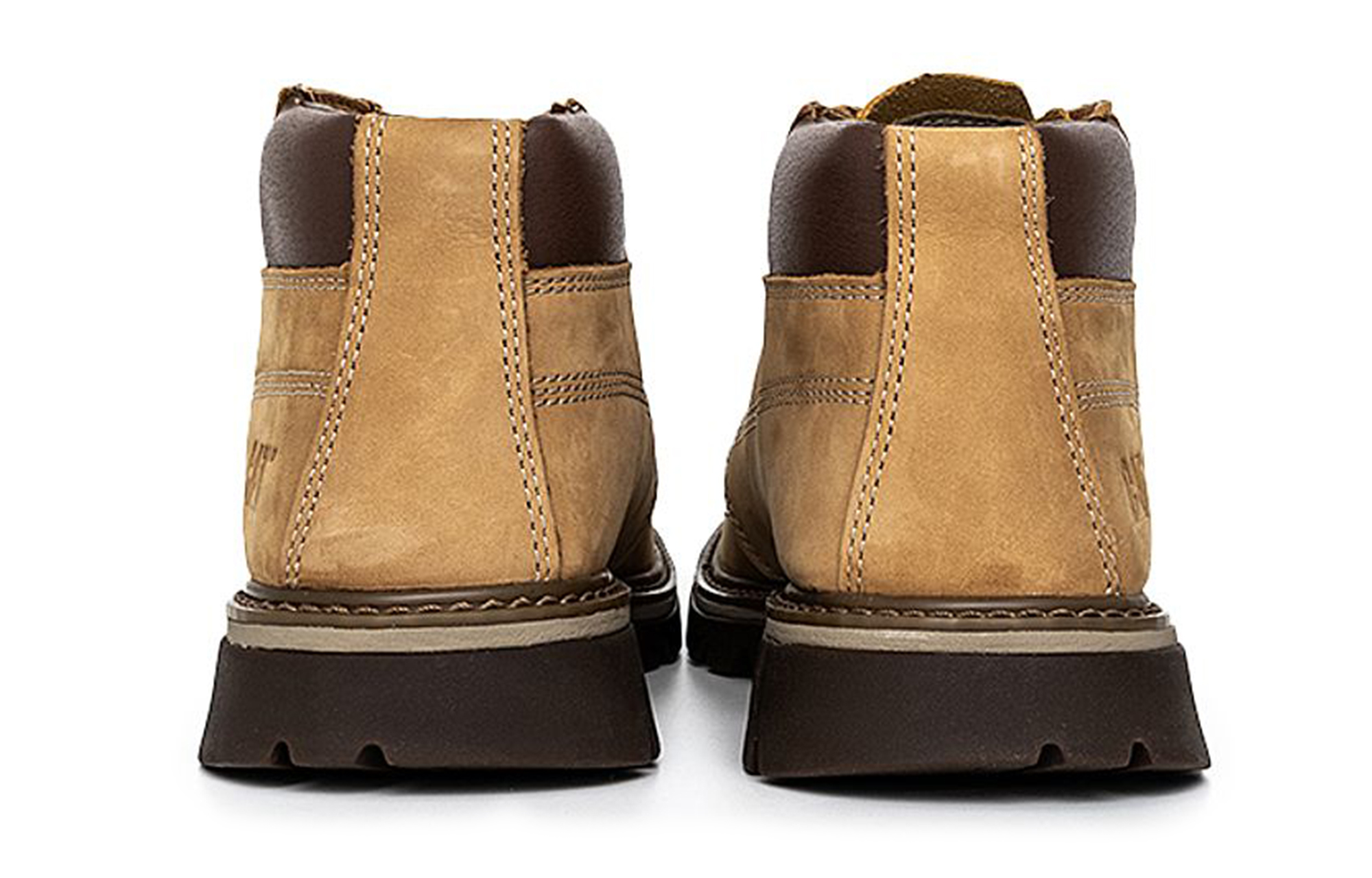 CAT Tribute 'Yellow' 圖 4