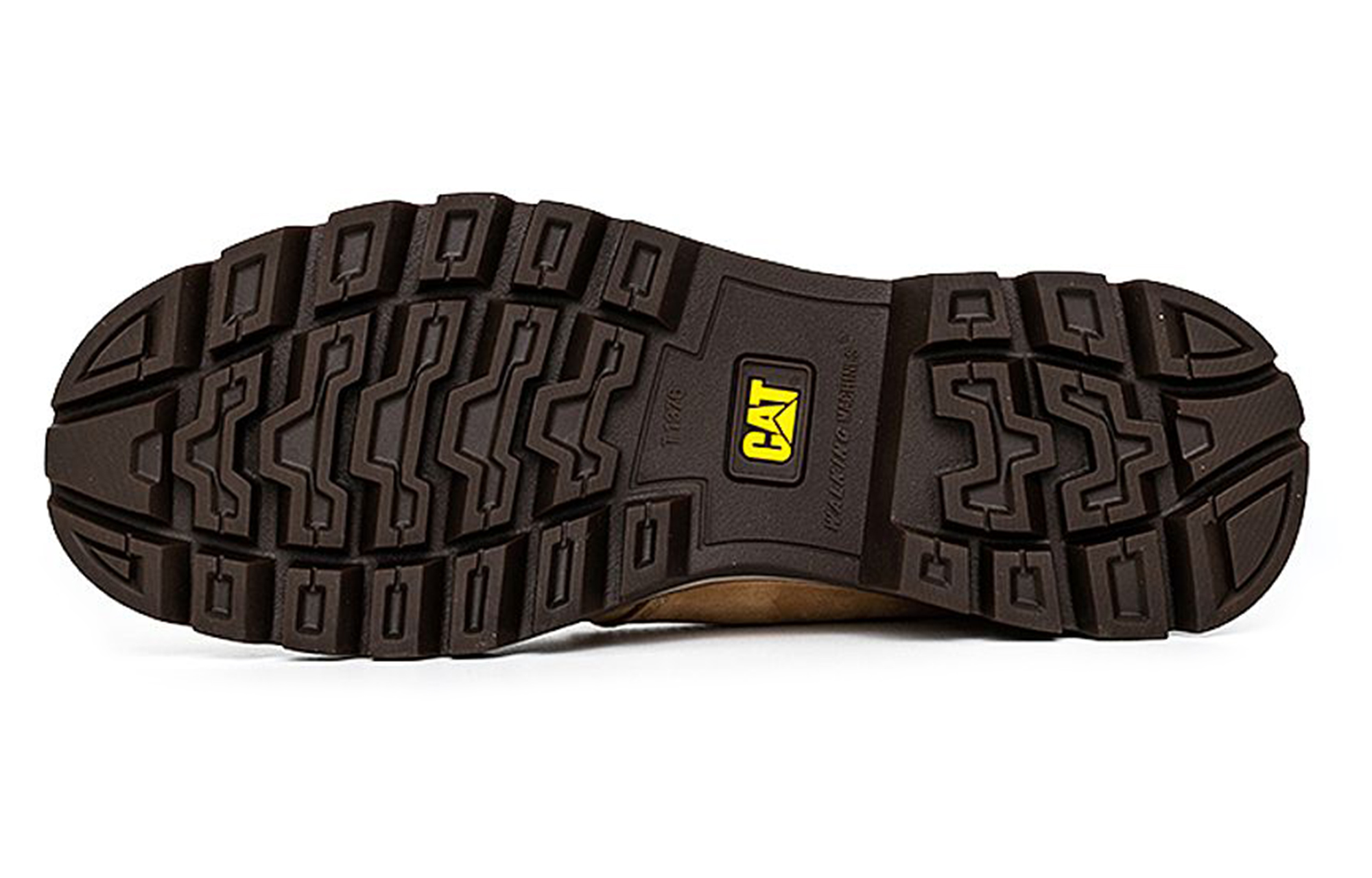 CAT Tribute 'Yellow' 圖 5