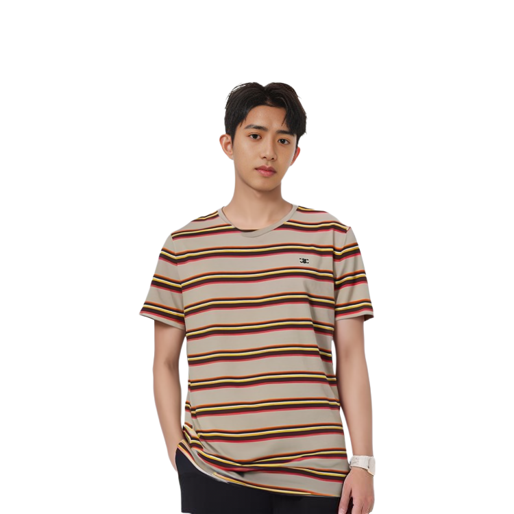 Shop Camiseta CELINE Marrón a Rayas con Logo Bordado y Cuello Redondo. 2X392305I-02MD