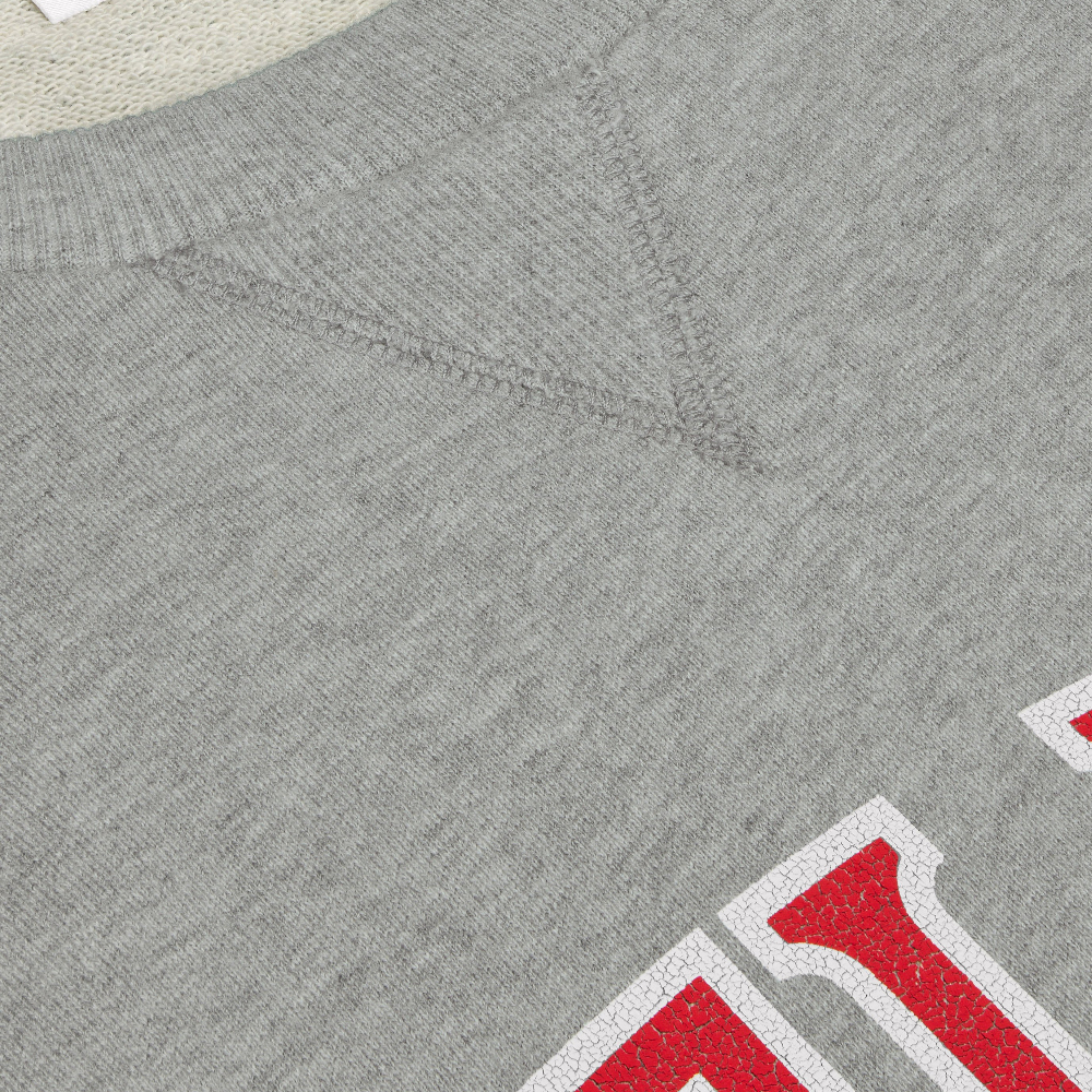 Purchase 셀린느 레터 로고 프린트 긴팔 크루넥 스웨트셔츠. 2Y74F670Q-09UY