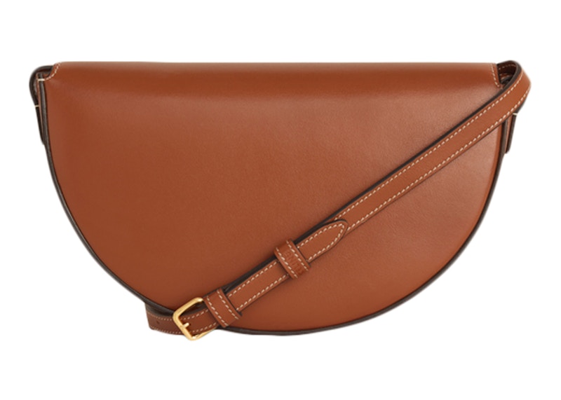 Lookbook 赛琳Triomphe刺绣棕色斜挎包