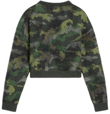 CELINE FW22 Camouflage Knit Sweater Green 2AH54432U-02CQ Lookbook CELINE FW22 Camouflage Knit Sweater Green 2AH54432U-02CQ