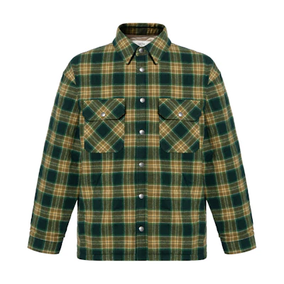 CELINE FW22 Boy Doll Checkered Long-Sleeve Shirt Green 2W705499R-30VK