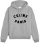 Buy CELINE FW24 Grey Logo Print Hoodie Pullover Long Sleeve. 2Y88G670Q-09MB